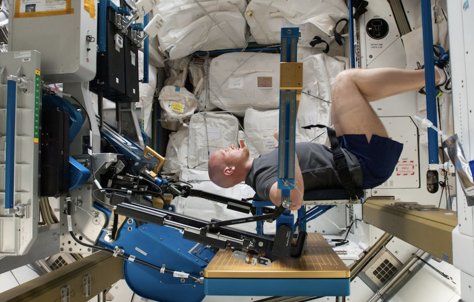 ESA (European Space Agency) astronaut Alexander Gerst exercises on the space station to combat muscle loss and bone density.